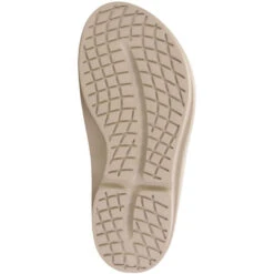 Chic Sportswear Store -Chic Sportswear Store 1410N 1