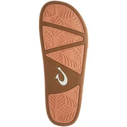 Chic Sportswear Store -Chic Sportswear Store 20460FMFM 1